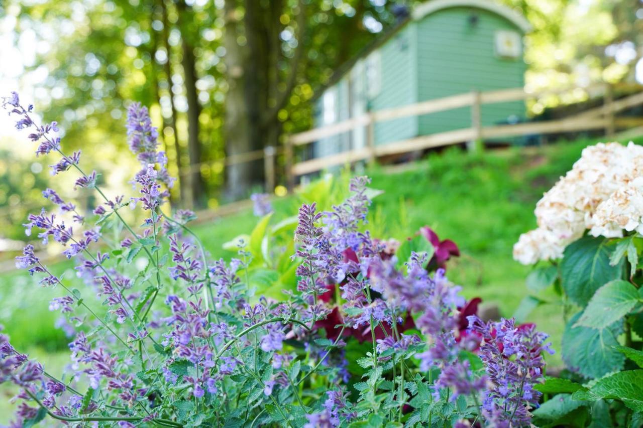 Affittacamere Lavender Retreat With Private Hot Tub Upper Hulme Esterno foto